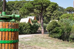 Glamping Fonte Murata