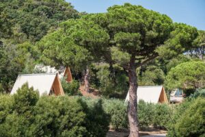 Glamping Fonte Murata